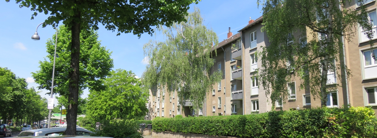 Artenschutzgutachten Köln Venloerstraße